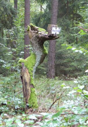 Das "Monster" vom Hirschberg :-))