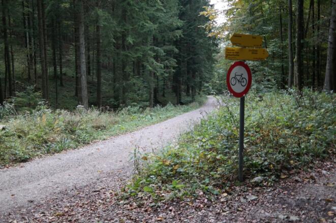 Kurz vor dem Laudachsee gelangt man zu dieser Wegkreuzung. Man bleibt auf der Forststraße bis zum Ziel.
