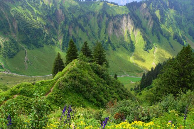 Blick zurück in das Dietersbachtal