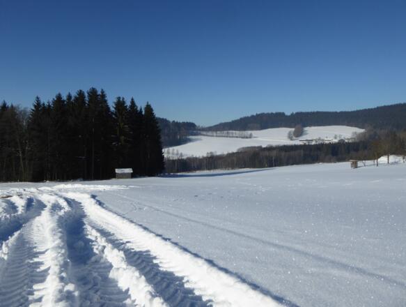 Abstieg nach Weidenhof