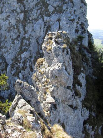 Diesen Felszacken muss man ausgesetzt überwinden. Seilsicherung an Bäumchen.
