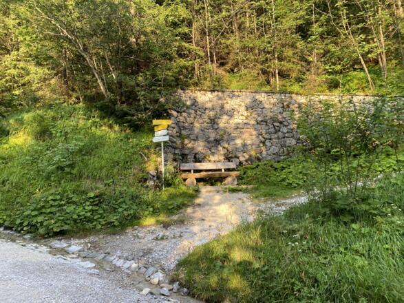 Nächster Abzweig von der Forststraße, hier rechts