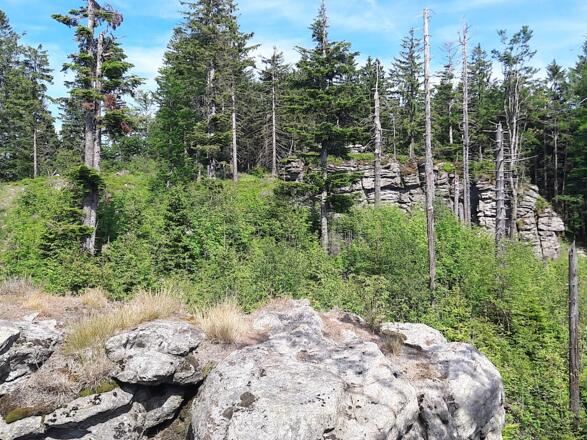 Ödriegel-Gipfelumfeld