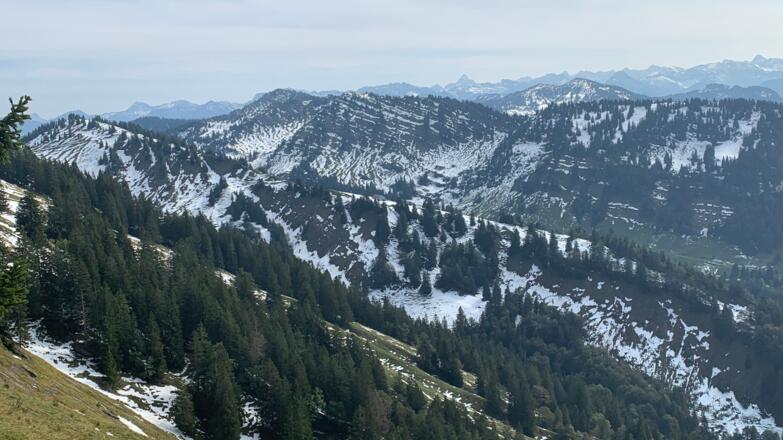 Blick vom Nagelfluhkamm nach Norden
