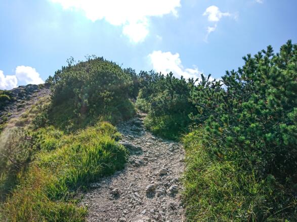 Leichter Aufstieg zum Jägerkamp