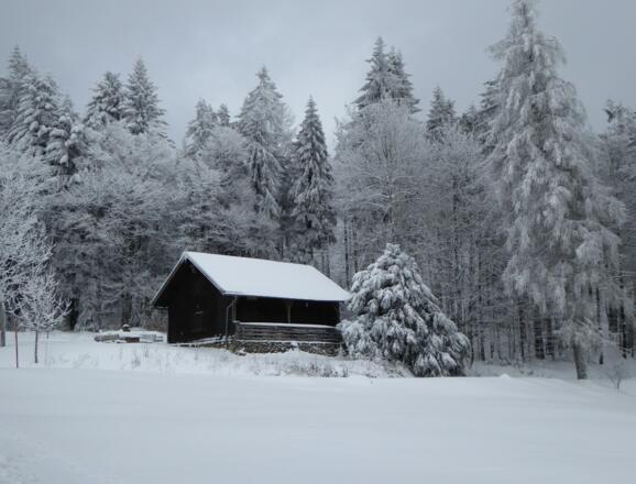 Diensthütte bei Grandsberg