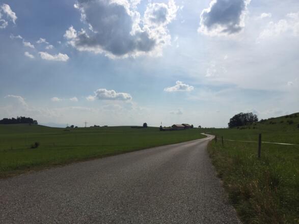 Richtung Osterhofen
