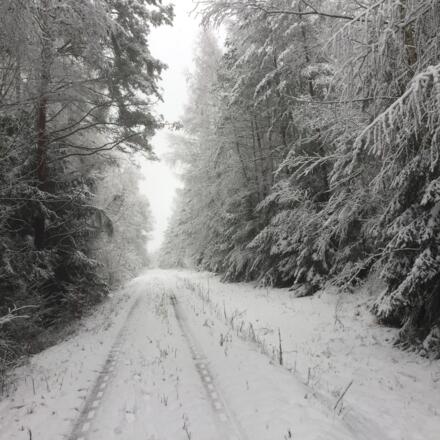 Auf dem Grenzweg im Winter