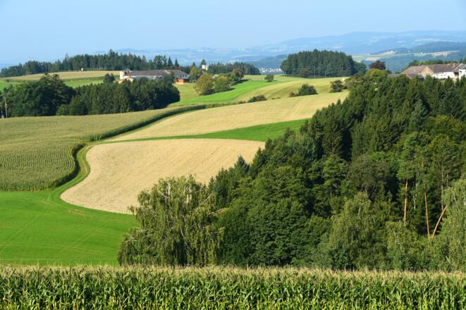 Landschaft um Gaisruckdorf