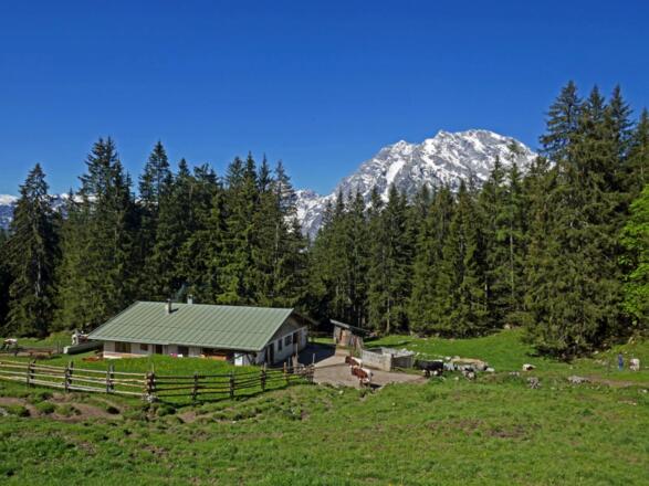 Strubalm und Watzmann