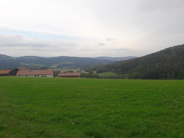 Blick über den Weidenhof nach Zierling und Kramerschopf