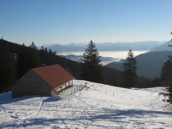 die "untere Alm"