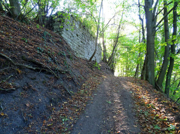 Ruine Ebersberg