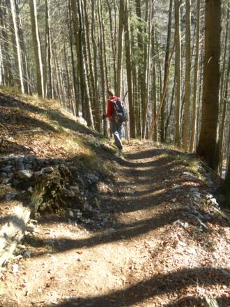 einfacher Wanderweg