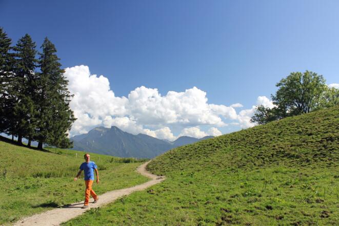Wegstück zwischen Hufnagelalm und Hefteralm.
