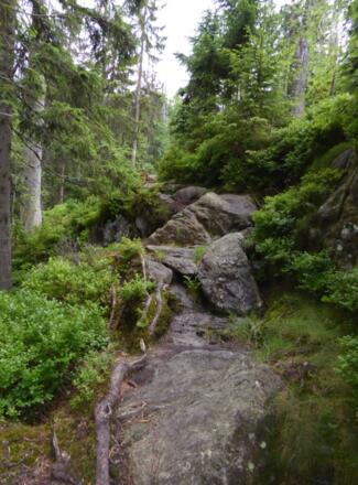 "Rachelsteig" - steinig