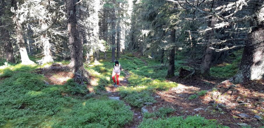 Einmal richtig eingefädelt, geht es ...