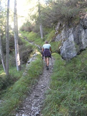 Waldgürtel ins Ofental
