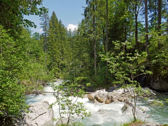 An der Ramsauer Ache im Zauberwald