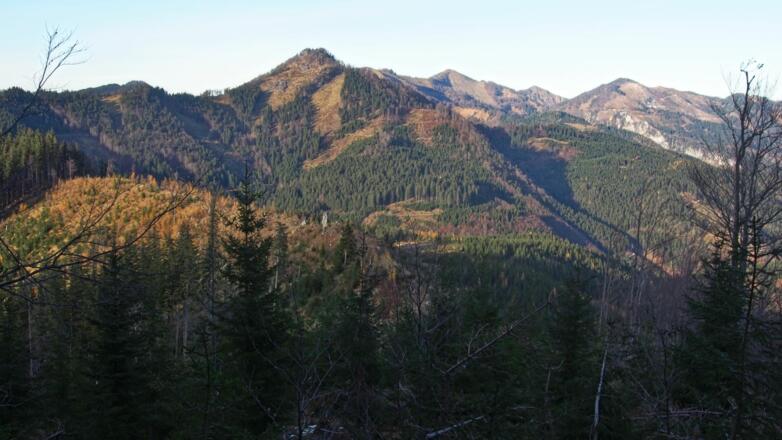 Rückblick auf den Übergang zwischen Hochzöbel und Bodenwies