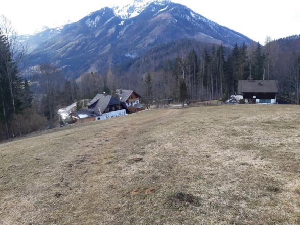 Siedlung Wartegg und Wiesenweg nach Hinterstoder