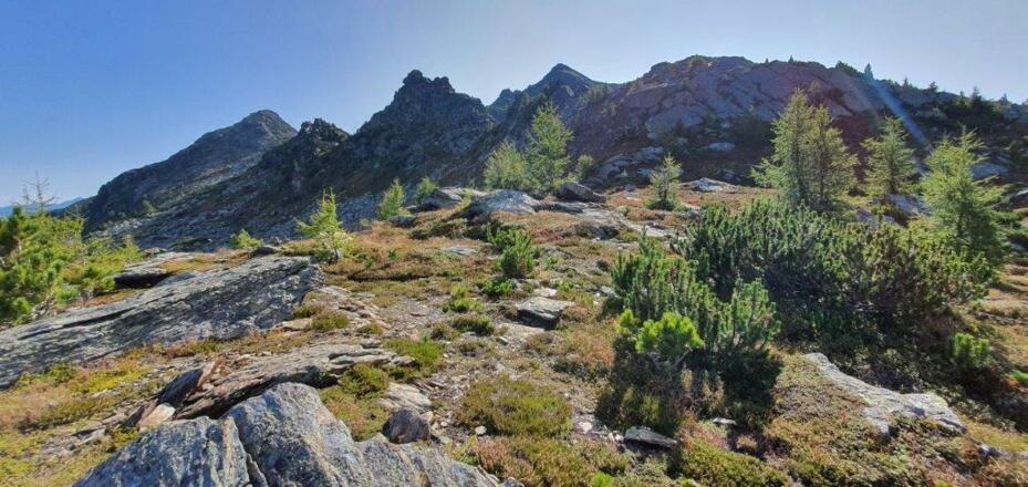 i, Hintergrund die MOHRENNKÖPFE (diese Namen gehören wohl überdacht!) hinten links die Neunerspitze