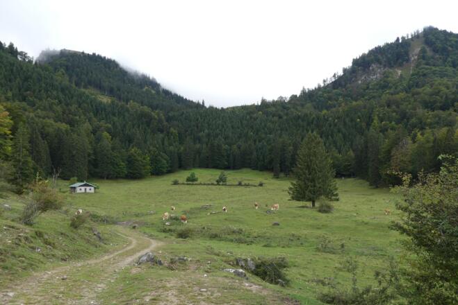 Ehemaliger Gletschersee Holzstube