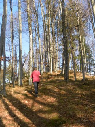Gipfelkuppe der Pitrachspitze