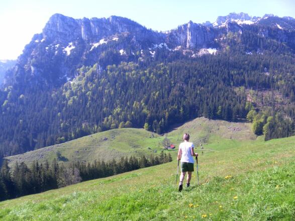 Gedererwand und Weißenalm