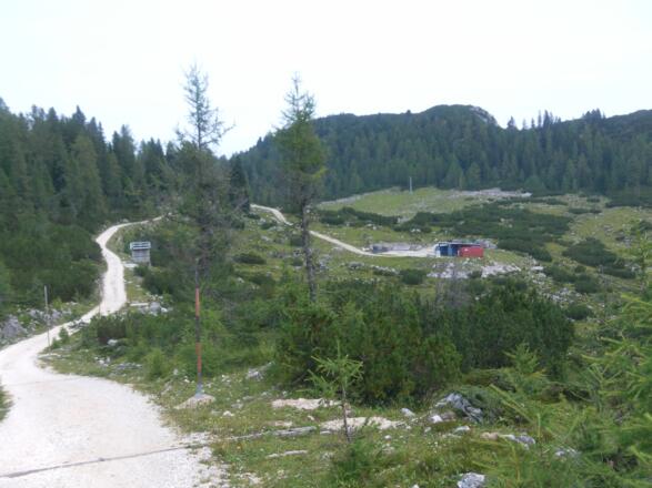 Laufsattel und Alphorn hinter Hirschwies