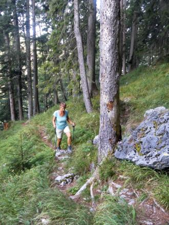 schattiger Steig