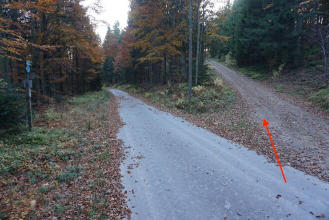 Abzweigung und Weiterfahrt auf der TransBayerwald