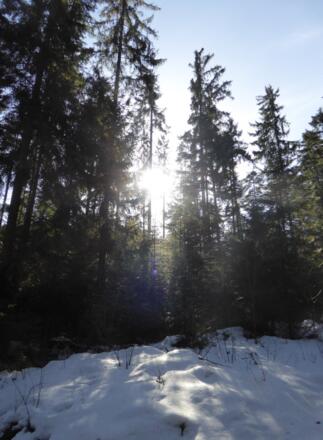 die Sonne scheint