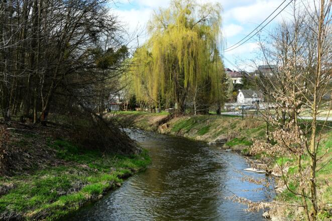 die Feldaist kurz vor der Bruckmühle, Pregarten