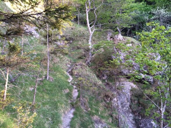 Aufstiegspfad in der Schlucht direkt unterhalb vom Nockstein