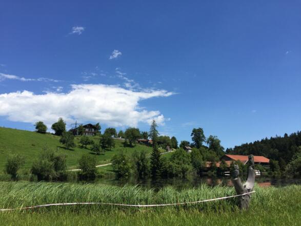 Babenberg