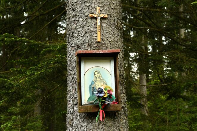 Oberholz - was mag hier passiert sein?