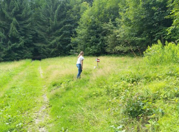Abzweigung 10m nach dem Wald nach dem Biotop