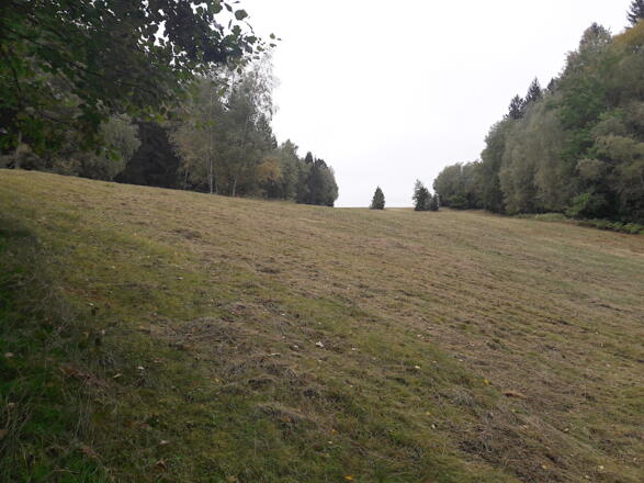Früherer Schihang Bernhardshöhe Kolmberg