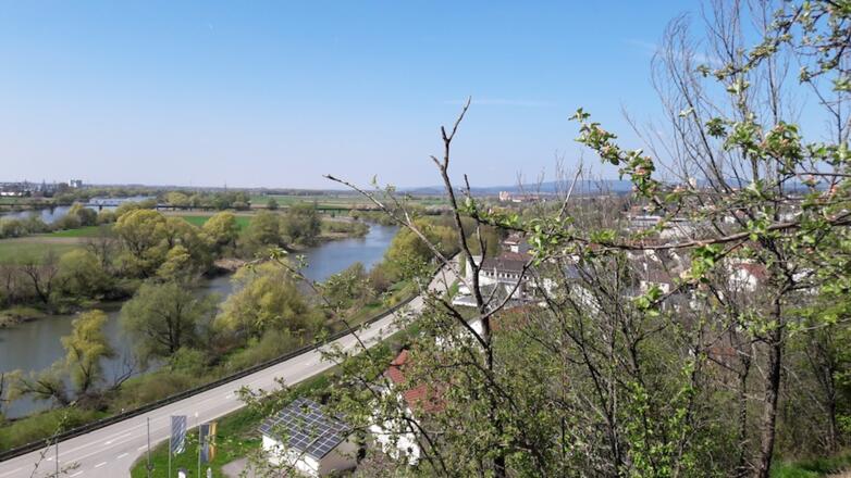 Frühlingsblick zur Donau