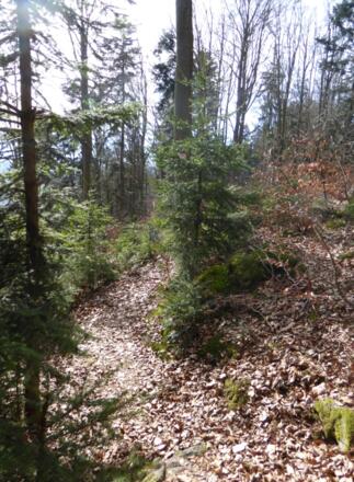 schöne Pfad am Berggrat entlang
