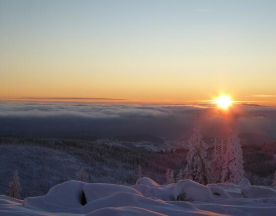 Sonnenaufgang am Lusen