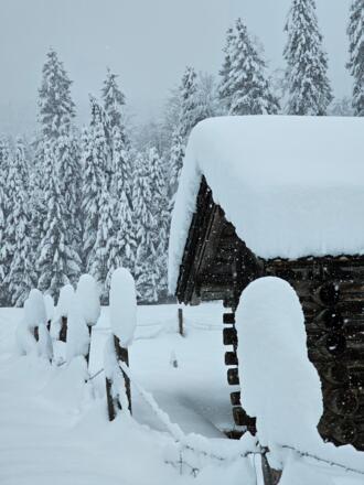Reschbergwiesen im Winter