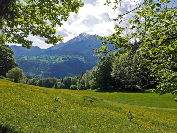 Blick zum Hohen Göll