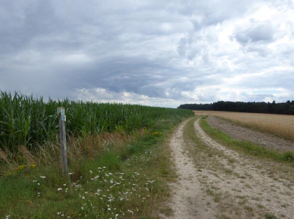 Schöne Wege zurück nach Pielenhofen