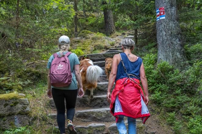 Aufstieg zum Kösseinegipfel