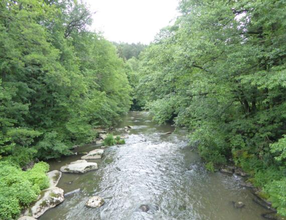Schwarzach