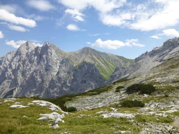 Es wird grüner vor der Knorrhütte