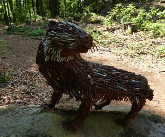 Eiserner Dachs am Zwirenzel