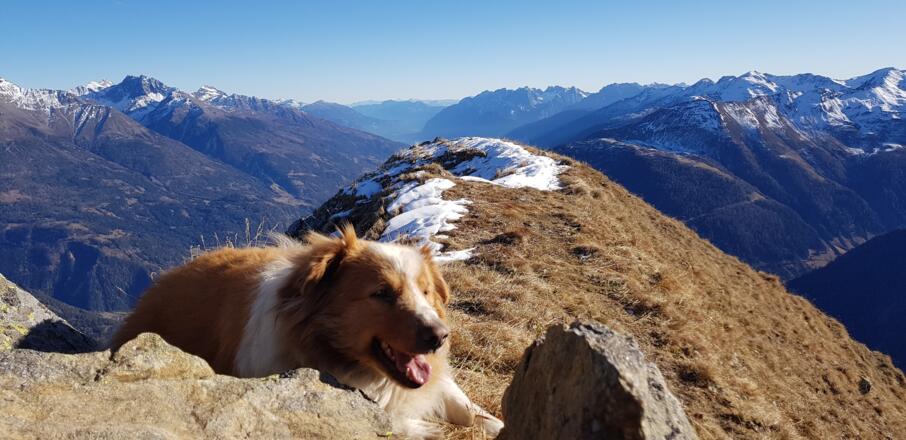 Blick Richtung Lienzer Dolomiten mit den letzten Metern zum Gipfel